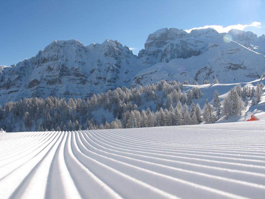 Chalet Fiocco Di Neve Pinzolo Εξωτερικό φωτογραφία