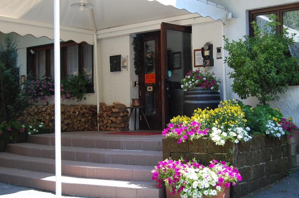 Chalet Fiocco Di Neve Pinzolo Εξωτερικό φωτογραφία